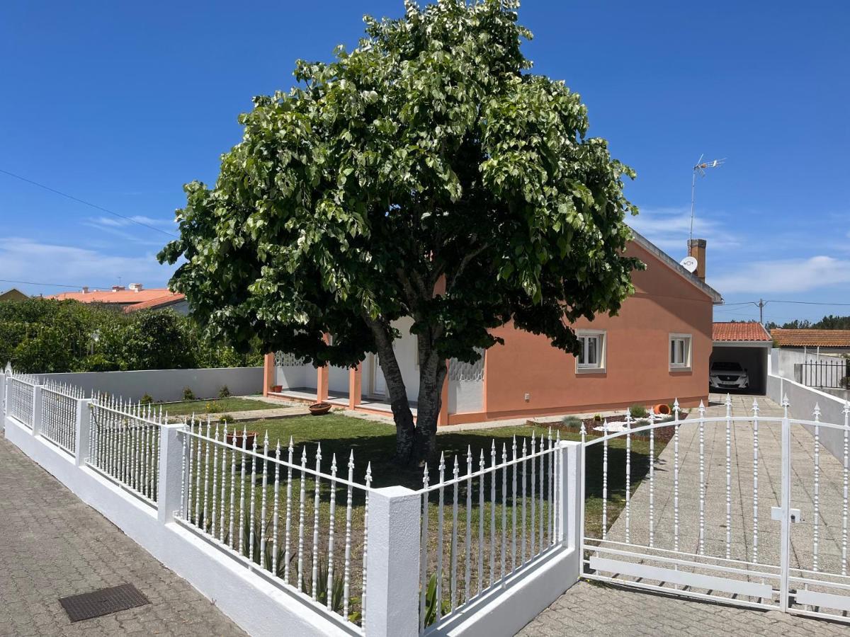 Moradia Alegre No Centro Da Vila Da Tocha. 外观 照片